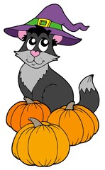 Cat with hat and pumpkins