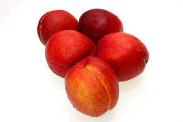 Red Plum