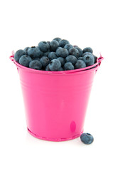 Bucket blueberries