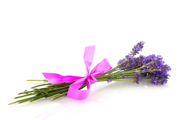 lavender with pink bow