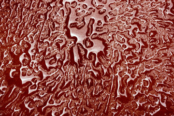 Background of the water drops