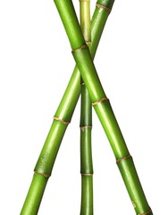 Fototapeta premium Triangle bamboo stems on white background