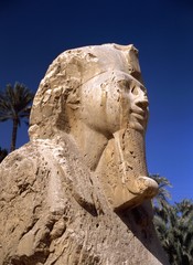Sphinx from Sakkara
