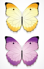 Butterflies