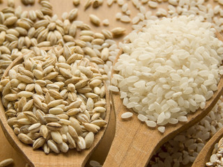 Wooden spoons with different kinds of groats. Shallow DOF.