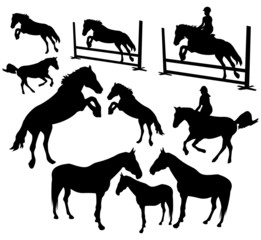 Horses silhouettes collection - obrazy, fototapety, plakaty