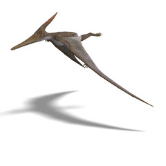 Dinosaur Pteranodon © Ralf Kraft