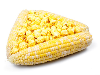 Corn in a cobs and popcorn