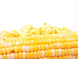 Corn in a cobs and popcorn