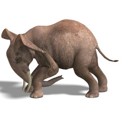 Obraz premium huge elephant