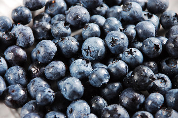 Fresh blueberries