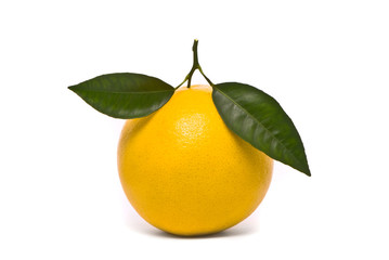 Fresh grapefruit. Macro studio white.