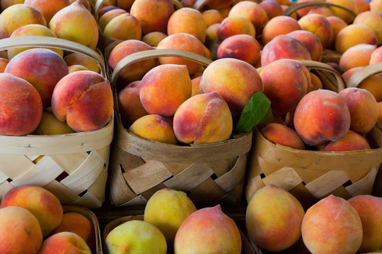 Baskets of Fresh Peaches at the Farmers Market