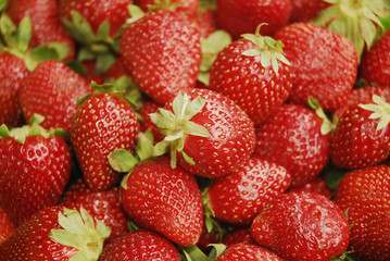 strawberry - strawberries