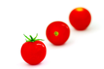 ripe red tomato
