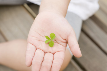 三つ葉を持つ子供の手