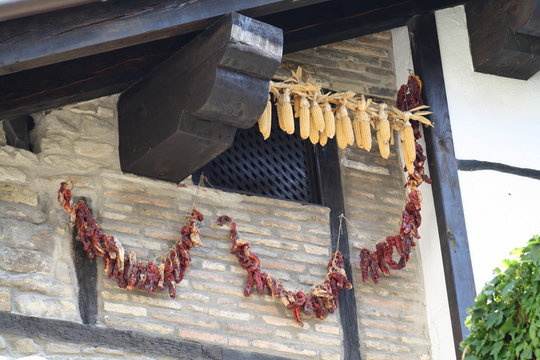 Mazorcas de maiz y pimientos choriceros secos.