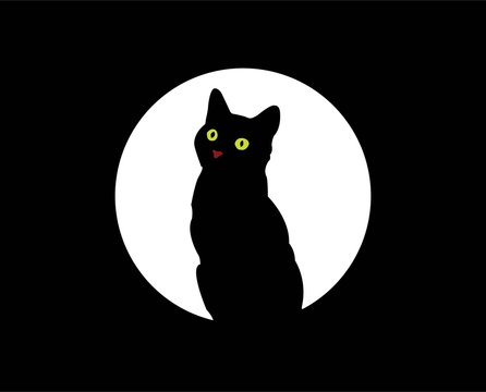 cat under the moon