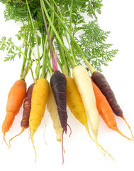 bunch of different coloured carrots