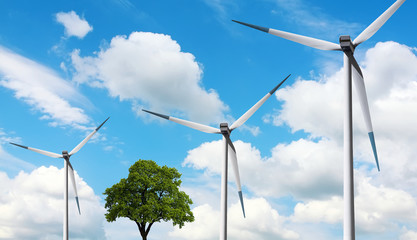 Ecology, Tree and Wind turbines