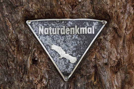 Nature relict