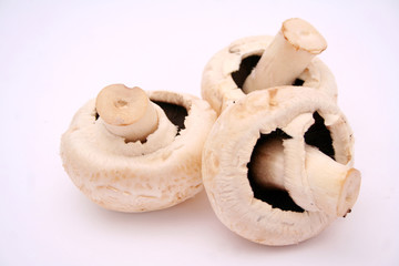 Champignons