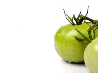 Green tomatoes with blank space