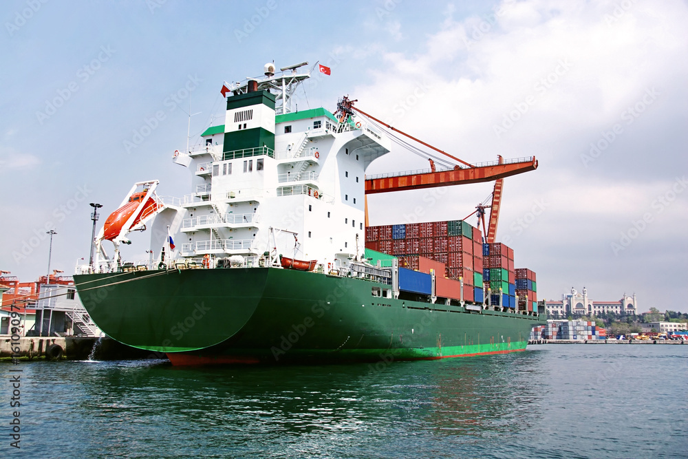 Canvas Prints green container ship