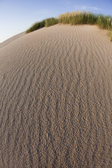 Dunes background