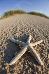 Sandy beach during summer and holidays