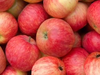 Fruit apples red