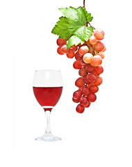 Goblet  and grapevine isolated on white background
