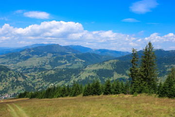 Fototapeta na wymiar Rodnei Mountains, near Borsa Resort