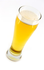 Glass of Beer
