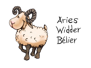 Widder, Aries, Bélier, Sternzeichen