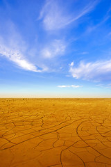 Dry crack field at sunset time