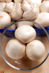 fresh mushrooms