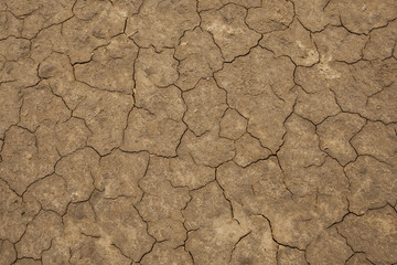 Dry Mud Cracks