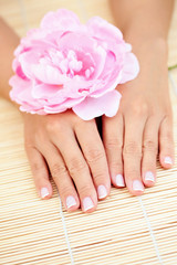 Fototapeta premium beautiful female hands