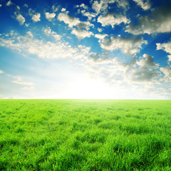 Fototapeta na wymiar green grass and sun sky