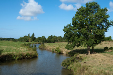 La rivi&egrave;re Vie