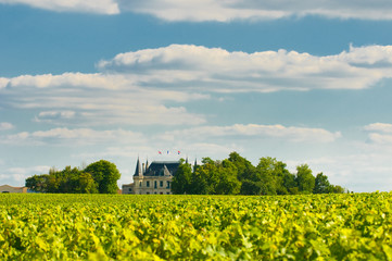 Chateau and vineyard in Margaux, Bordeaux, France - obrazy, fototapety, plakaty