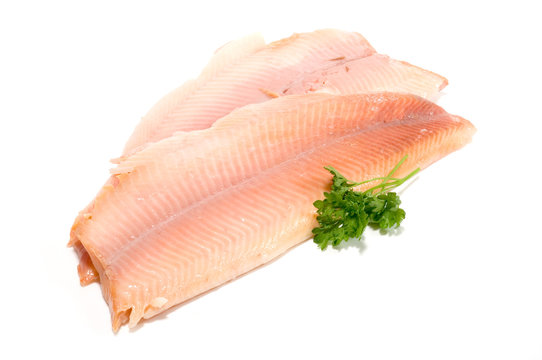 Forellen-Filet