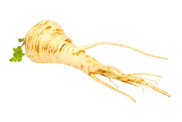 Parsnip isolated on white.