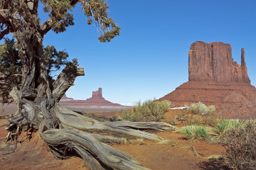 Monument Valley in Winter