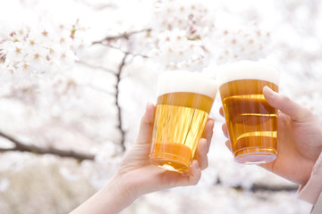ビールと桜