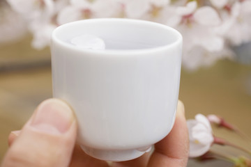 日本酒と桜