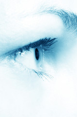 Human Eye