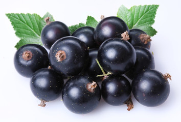 Black currant