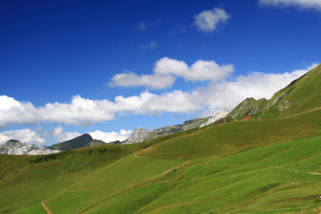 mountain with the green grass